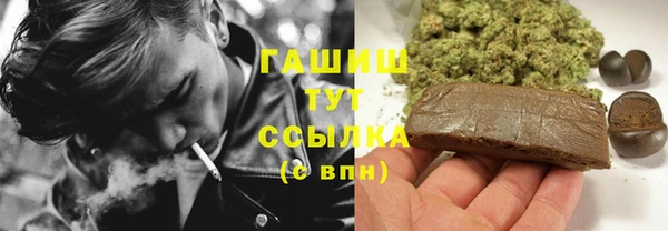 прущие грибы Гусь-Хрустальный