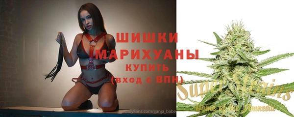 прущие грибы Гусь-Хрустальный