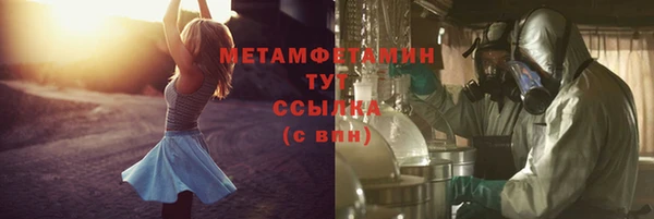 прущие грибы Гусь-Хрустальный