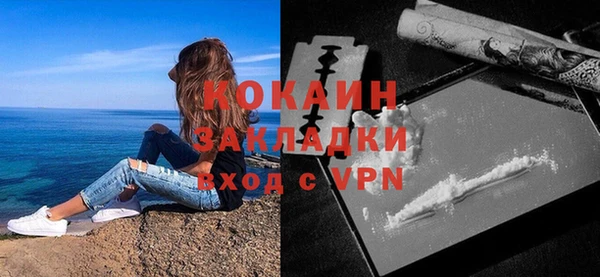 прущие грибы Гусь-Хрустальный