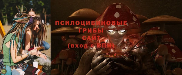 прущие грибы Гусь-Хрустальный