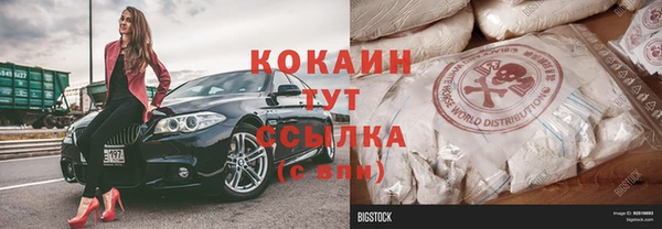 прущие грибы Гусь-Хрустальный