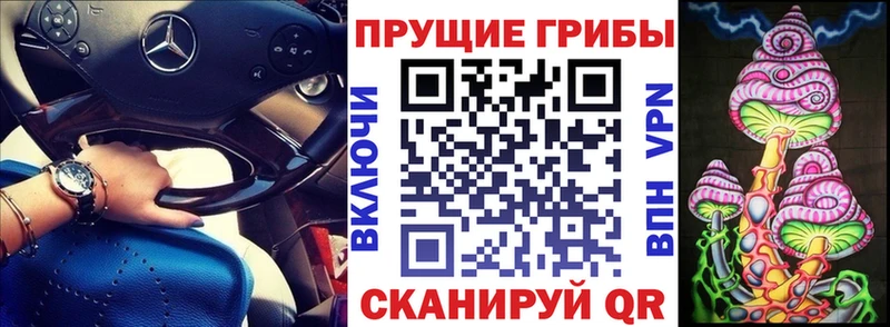 Галлюциногенные грибы Psilocybine cubensis  Лабытнанги 